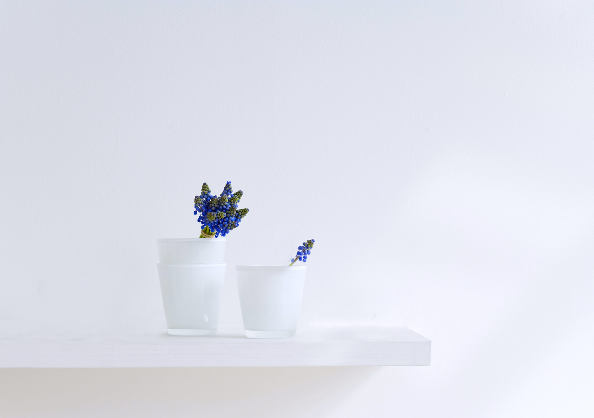 Decorating With House Plants